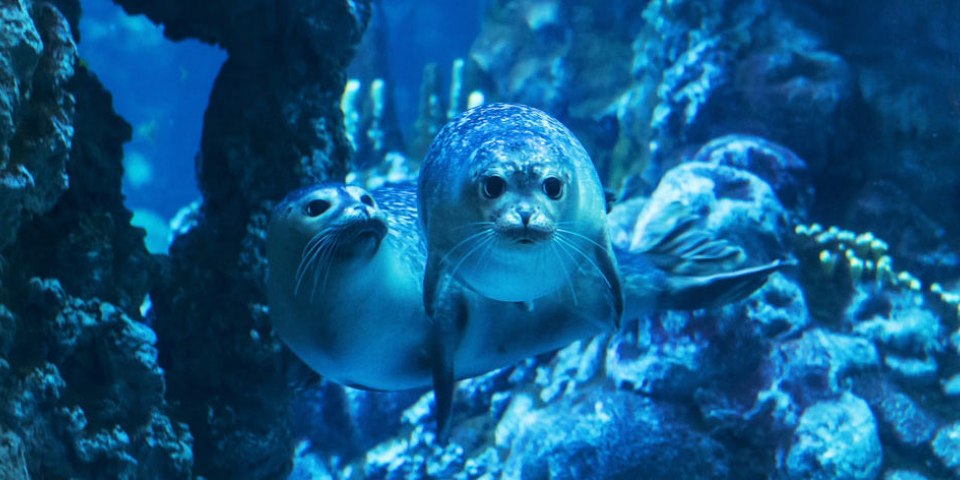 Hotel Acquario di genova